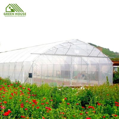 China Agricultural Plant Growth Low Cost Tomato Plastic Sheet Greenhouse for sale