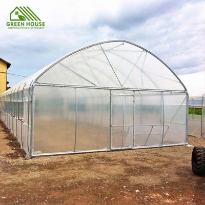 China Custom PE Greenhouses Plastic Sheet Greenhouses Agricultural Potato Plant Greenhouses for sale