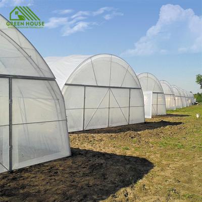 China Greenhouse Best Selling Single Tomato Sheet Plastic PE Span Greenhouse Growing Tunnel Greenhouse for sale