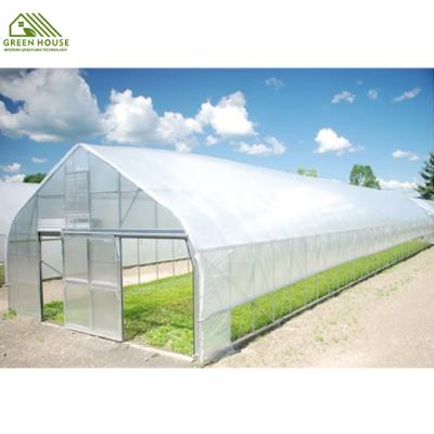 China Low Cost PE Tunnel Plastic Film Greenhouse Vegetable And Fruit Tunnel Greenhouse Planting for sale