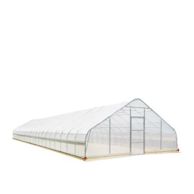 China Cheap Plant Growth Plastic Sheet Tunnel Greenhouse Tomato And Potato Preservation Greenhouse for sale