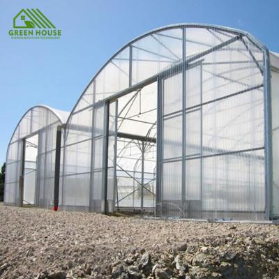 China Vegetable Plant Growth Multi-span Plastic Sheet Greenhouse Eggplant Greenhouse for sale