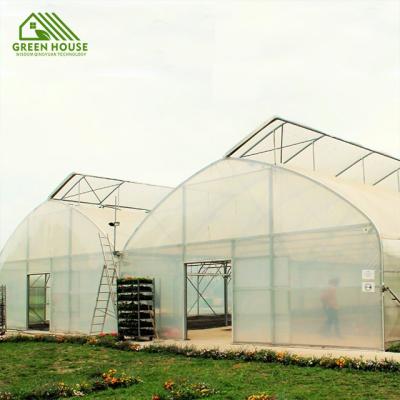 China Plant Growth Multi-Span Plastic Sheet Greenhouses Tomato Greenhouses and Strawberry Greenhouses Tunnel Winn Turnkey Projects for sale