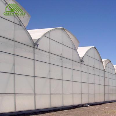 China Plant Growth Vegetables Greenhouse Plastic Sheet Pe Film UV Resistant UV Plastic for sale