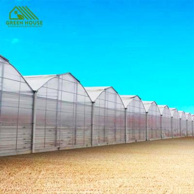 China Plant Growth Multi-span Plastic Sheet Greenhouse Fruit Strawberry Watermelon Greenhouse Project Turnkey Irrigation System for sale