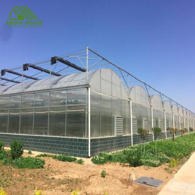 China Plant Growing Multi-span Plastic Sheet Sawtooth Climate Controlled Greenhouse Potato Tunnel Vegetable Greenhouse for sale