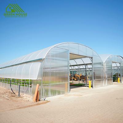 China Vegetable Fruit Flowers Multi-span Plastic Sheet Greenhouse Greenhouse Top Ventilated Greenhouse Tunnel Tropical Herringbone Greenhouse for sale