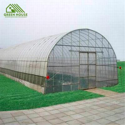 China Commercial Plant Growing Cheap Vegetable Potato Plastic Sheet Greenhouse Tunnel Agricultural Greenhouse for sale