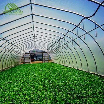 China Plant Growth Thermal And Vegetables Plastic Film Greenhouse Tunnel Windproof Agricultural Greenhouse for sale