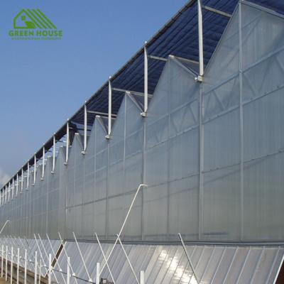 China Stable Structure Easily Assembled Hot Sale Hydroponic Growing Greenhouse 8mm Sheet Greenhouse for sale