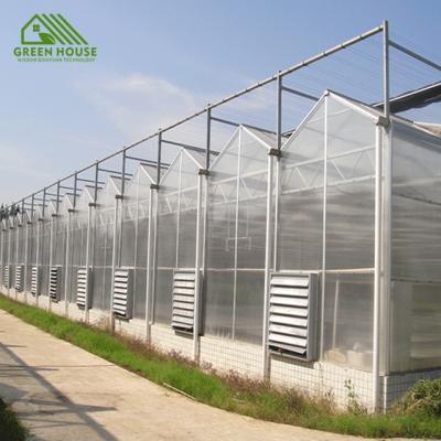 China Cheap Plant Growth Greenhouse Automatic Control System PCB Board Greenhouse Medicinal Plant Cultivation for sale