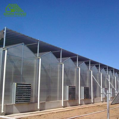 China Stable Structure Easily Assembled Medicinal Plant Agricultural Greenhouse Multi-span Film Irrigation System PC Hydroponic Greenhouse For Sale for sale