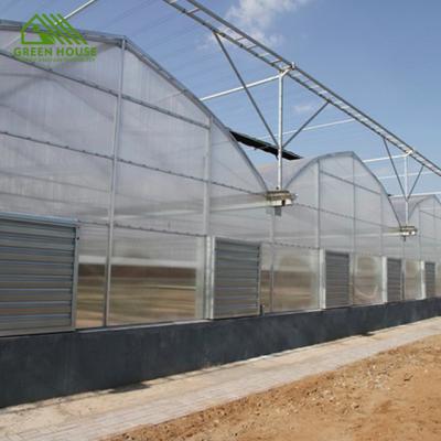 China PC Sheet Multi-span PC Panel Greenhouse , Automatic Control System Tomato Growing Greenhouse for sale