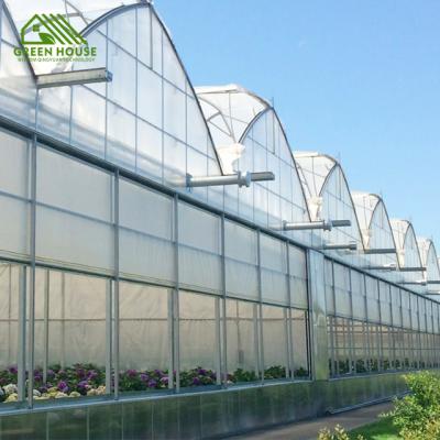 China 10mm Medicinal Plants Circuit Board System Agriculture Polycarbonate Panel Medicinal Plant Greenhouse Flower Tropical Plant Hydroponic Greenhouse for sale