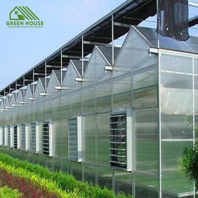 China Medicinal Plants Polycarbonate Plant Sheds For Agriculture 8mm PCpc Greenhouse Greenhouse With Self Contained Hydroponic System for sale