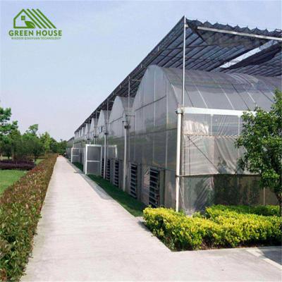 China Vegetable Low Cost Greenhouse PC Panel Greenhouse Vegetable And Fruit Growing for sale