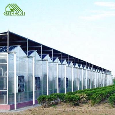 China Multi-span Delicate Fruit Flowers PC Leaf Plant Floral Plant Greenhouse Large Multi-Span Greenhouse for sale