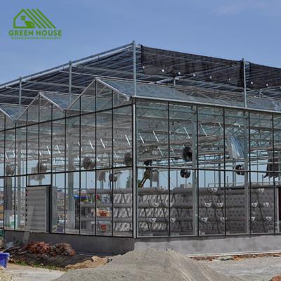 China Glass Multi-span Galvanized Steel Structure Hydroponic Glass Greenhouse for sale