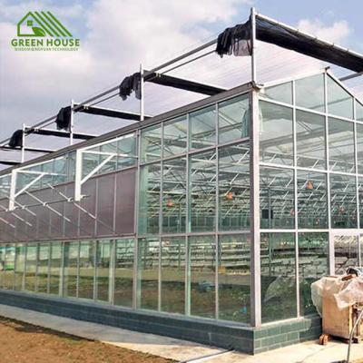 China Flower vegetable agricultural flower fruit glass greenhouse for sale for sale