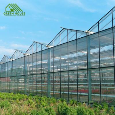 China Luxury Plant Growth Sichuan QY Venlo Glass Roof Greenhouse Winter Garden House Hot Galvanized for sale