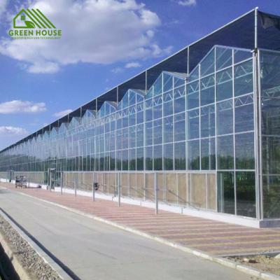 China China Manufacturer Glass Factory Price Galvanized Steel Tomato Planting Glass Greenhouse for sale