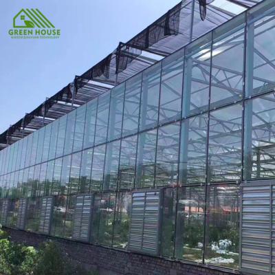 China Agricultural Insulated Victorian Tempered Glass Vegetable Flower Fruit Greenhouse For Tomato for sale