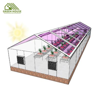 China Strawberry Horticulture Greenhouse Garden Hot Selling Galvanized Steel Glass Greenhouse for sale