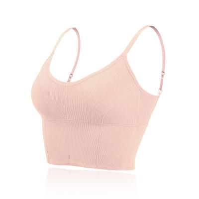 China Popular Manufacturers Seamless Bra Chest Sports Beauty U Back Tube Bra Top Wrapped Chest Vest Women Seamless Bra for sale