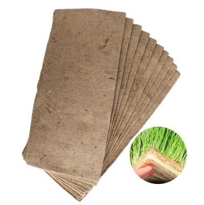 China Europe 100% Natural Jute Grow Mat For Sprouting Microgreens Seeds for sale