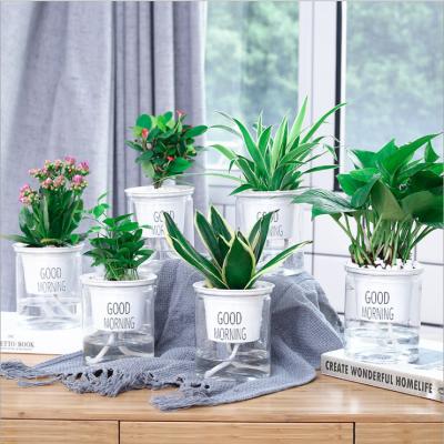 China Transparent Europe flower pot lazy automatic water absorption around pot plastic hydroponic creative resin flower plant succulent flower for sale