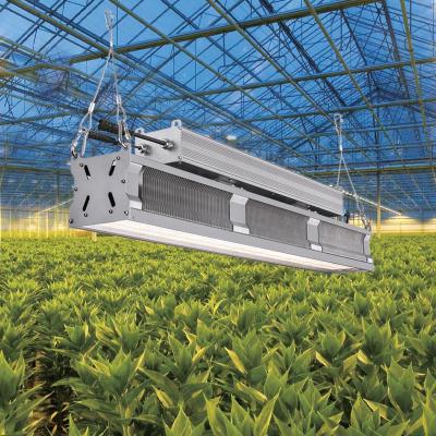 China Seed Starting Shenzhen Factory Garden Greenhouses Lights 600w 720w 2.8umol/j Smart Timing Dimmable IR LED Full UV Spectrum Grow Lights for sale