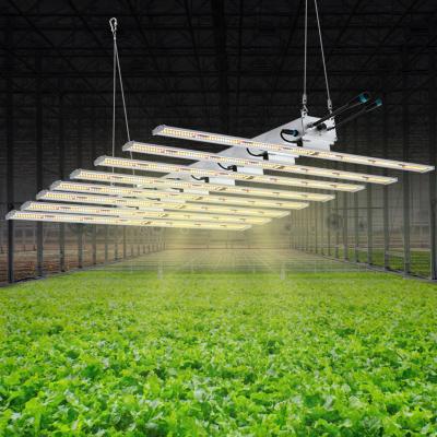 China Seed Starting Best Led Commercial For Growing Light 640W Led Grow Light 2021 for sale