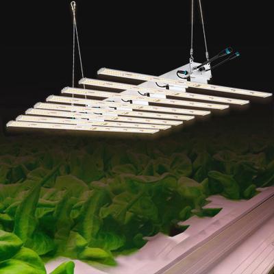 China Seed Starting Ip65 To Waterproof Hydroponic To Grow Light Best 640W Led Led Grow Light For A 5X5 Grow Tent for sale