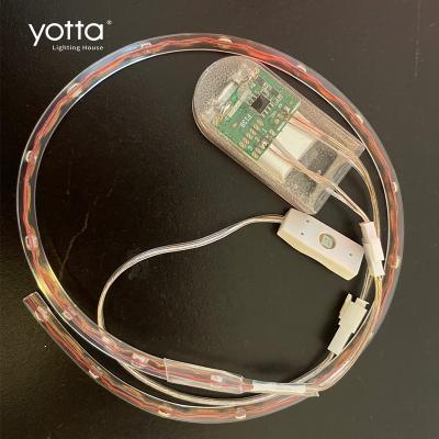 China 2022 New Design Shoe Light PVC 5V Two Wire Rope Waterproof USB Always Bright Decorative Led Shoe Light for sale