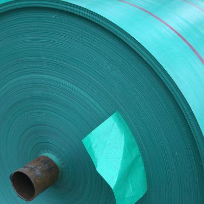 China Double blue 15' x15' Poly Tarps Strip Tarps PE Economy Tarpaulin for cover from China for sale