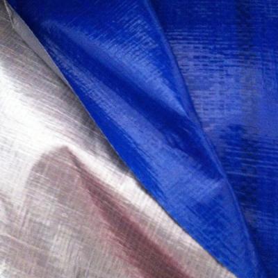 China Double blue 9' x12' Poly Tarps Plastic Tarps PE Economy Tarpaulin for cover from China for sale