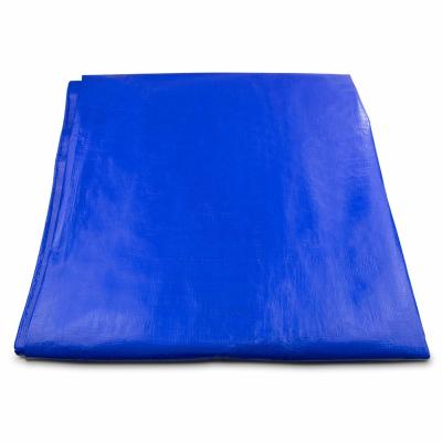 China Double blue 10 x10M Poly Tarps Plastic Tarps PE Economy Tarpaulin for cover from China for sale