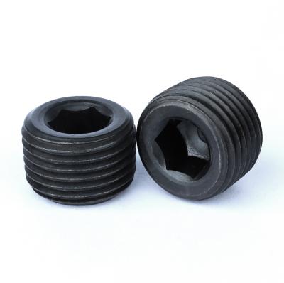 China Round Screw Hexagon Socket Pipe Hydraulic Socket Tapered Thread M8 M10 DIN906 for sale