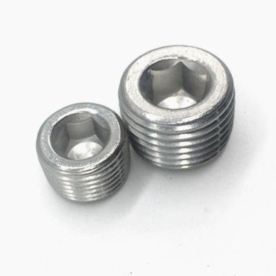 China Pan High Quality SS304 Carbon Steel Screw Plugs DIN906 for sale