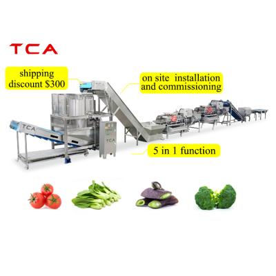 China Good Quality TCA Full Automatic 100 kg/h Fresh Vegetable Processing Line for sale