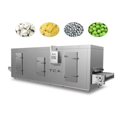 China Freeze Vegetables and Fruit TCA Diversification Shrimp Iqf Freezer Machine for sale