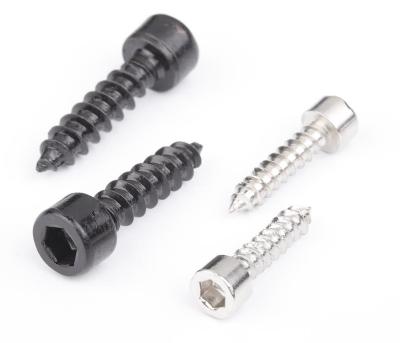 China China Factory Direct Steel Socket Cheap Common Useful Head Self Tapping Screws For Mounting for sale