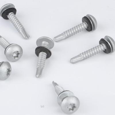 China Portable Normative Stainless Steel Factory Price Manufacturer Supplier Self-Drilling Standard Screw for sale