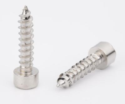 China Wholesale China Supplier Black Steel Flexible Hex Socket Head Self Tapping Screws for sale