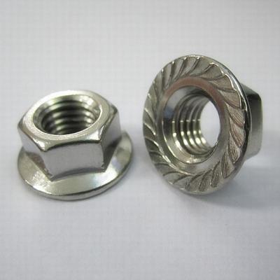 China Heavy Industry Hot Sales Stainless Steel Carbon Steel Hex Serrated Flange Nut for sale