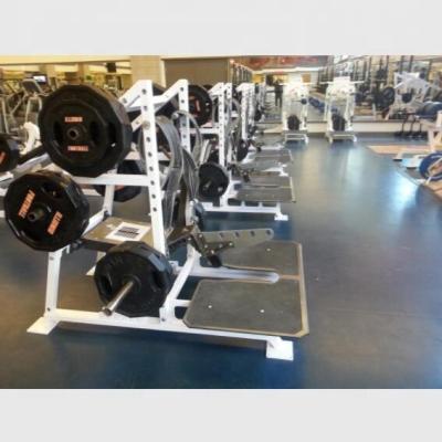 China Sales Universal Whole Professional Gym Equipment Rogers Belt Squat Plate Loaded Equipment for sale