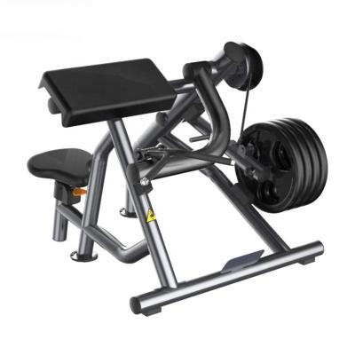 China Commercial Use Hammer Strength Equipment / Gym Fitness Equipment / Plate Loaded Equipment Biceps Curl for sale