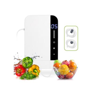 China Outdoor Factory Hot Sales 600mg/h Ozone Air Purifier Ozone Sterilizer with Timer and Diffuser Balls, for Home, Kitchen, Fruit and Vege for sale