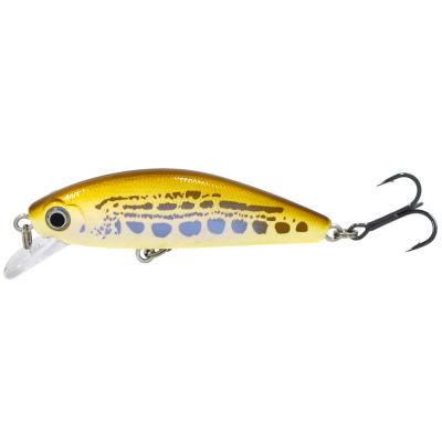 China Wholesale Artificial Minnow Lure Bait, Realistic Hard Bait Minnow CHMN100 for sale