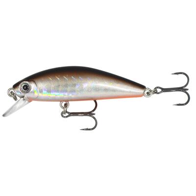 China Floating Minnow 5.5cm-4.4g Small Size Floating Minnow Hard Lure Plastic Fishing Lure With PVC Box for sale